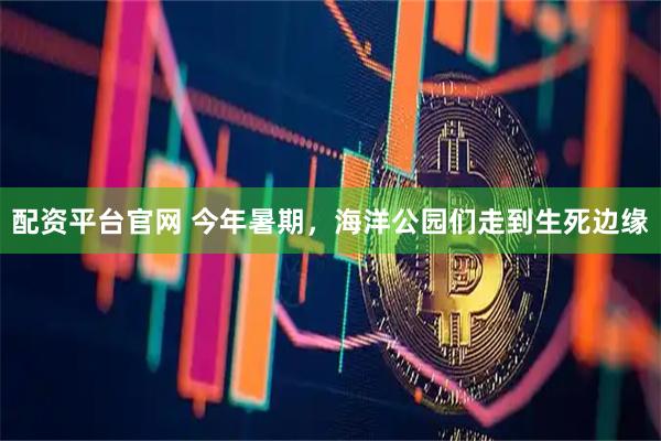配资平台官网 今年暑期，海洋公园们走到生死边缘